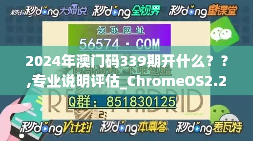 2024年澳门码339期开什么？？,专业说明评估_ChromeOS2.259