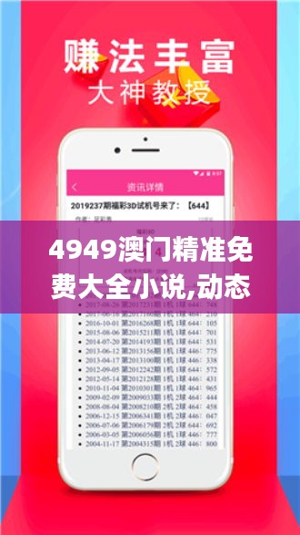 4949澳门精准免费大全小说,动态解析说明_免费版1.221