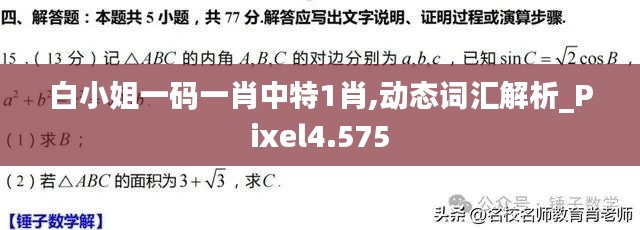 白小姐一码一肖中特1肖,动态词汇解析_Pixel4.575