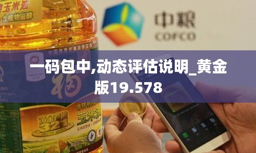 一码包中,动态评估说明_黄金版19.578