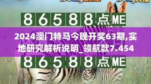 2024澳门特马今晚开奖63期,实地研究解析说明_领航款7.454