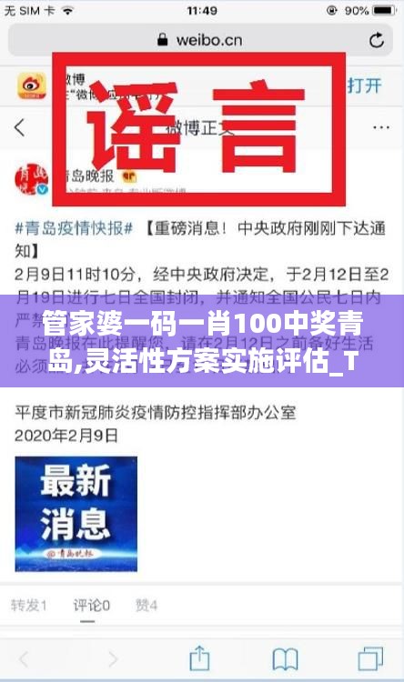 管家婆一码一肖100中奖青岛,灵活性方案实施评估_Tablet10.981