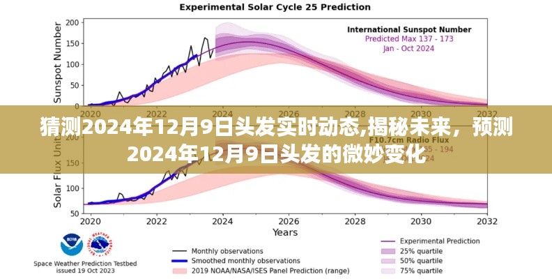 揭秘未来头发动态，预测2024年12月9日的微妙变化