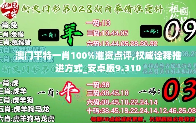 澳门平特一肖100%准资点评,权威诠释推进方式_安卓版9.310