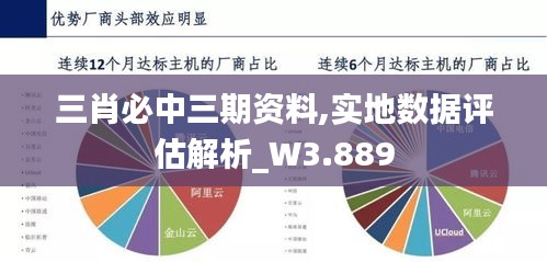 三肖必中三期资料,实地数据评估解析_W3.889