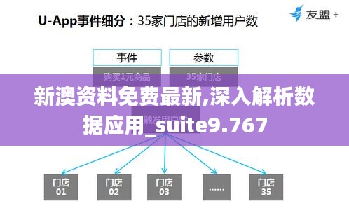 新澳资料免费最新,深入解析数据应用_suite9.767