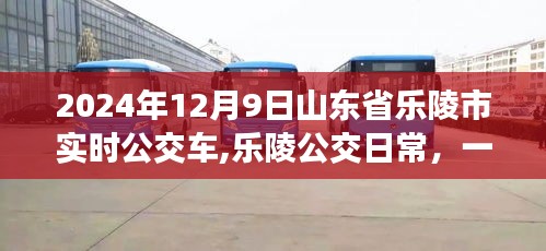 乐陵公交日常，温馨公交之旅的见证