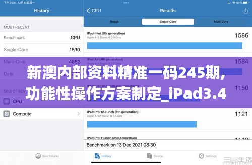 新澳内部资料精准一码245期,功能性操作方案制定_iPad3.484