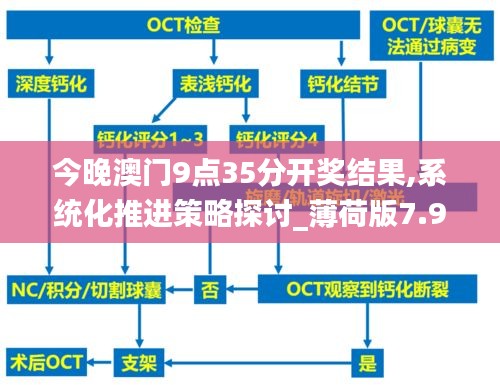 今晚澳门9点35分开奖结果,系统化推进策略探讨_薄荷版7.978