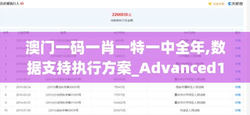 澳门一码一肖一特一中全年,数据支持执行方案_Advanced1.683