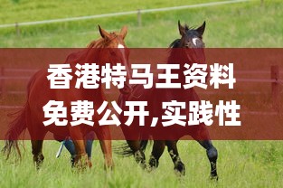 香港特马王资料免费公开,实践性方案设计_户外版11.262