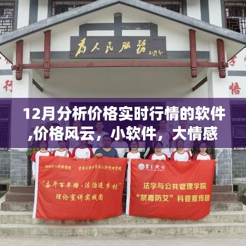 12月价格风云实时分析软件，小工具展现大情感，温情之旅开启