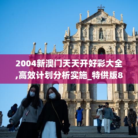 2004新澳门天天开好彩大全,高效计划分析实施_特供版8.571