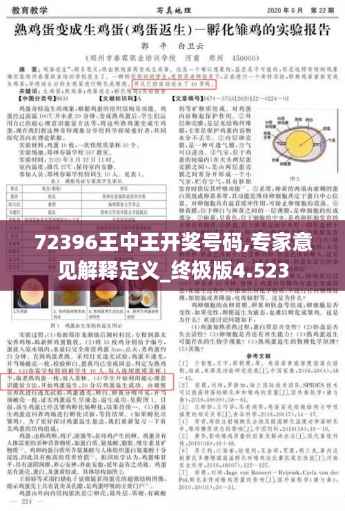 72396王中王开奖号码,专家意见解释定义_终极版4.523