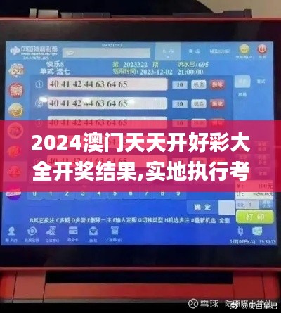 2024澳门天天开好彩大全开奖结果,实地执行考察数据_suite4.461