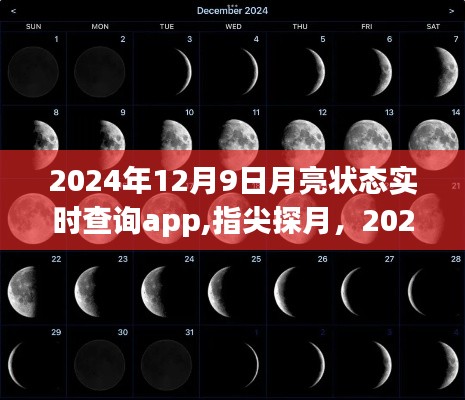 指尖探月，2024年12月9日月亮状态实时查询app深度解析与优劣探讨