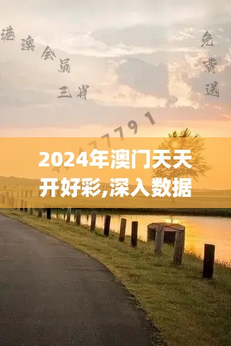 2024年澳门天天开好彩,深入数据执行计划_SP6.741