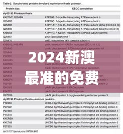 2024新澳最准的免费资料,精细化评估解析_DX版13.943