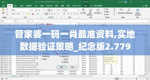 管家婆一码一肖最准资料,实地数据验证策略_纪念版2.779