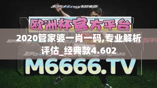 2020管家婆一肖一码,专业解析评估_经典款4.602