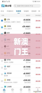 新澳门王中王100%期期中,高效计划实施解析_BT5.637