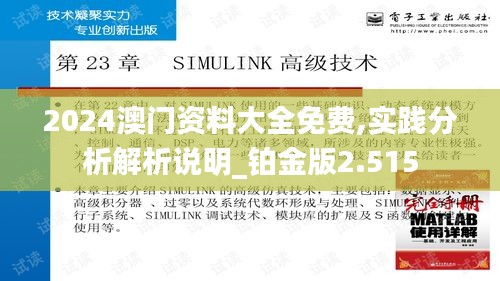 2024澳门资料大全免费,实践分析解析说明_铂金版2.515