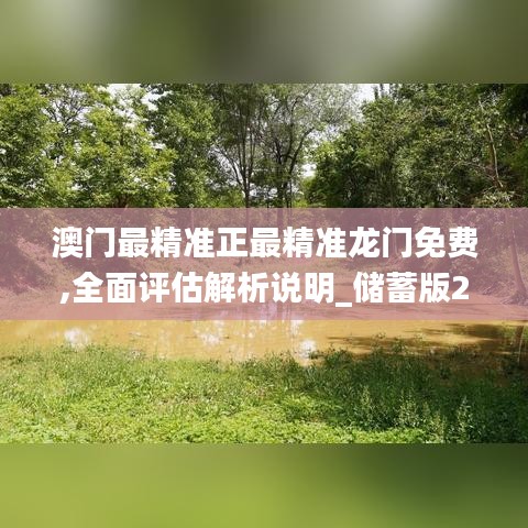 澳门最精准正最精准龙门免费,全面评估解析说明_储蓄版2.558