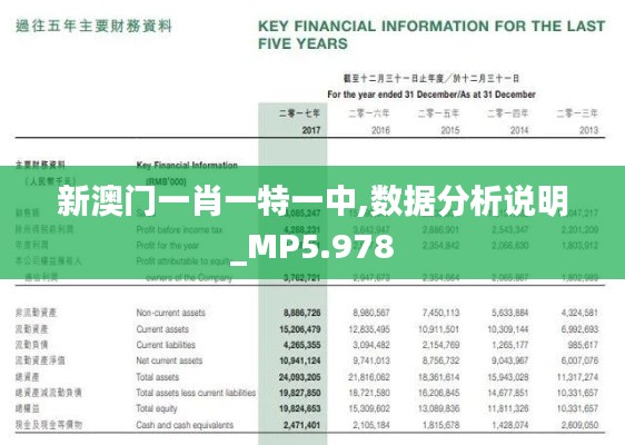 新澳门一肖一特一中,数据分析说明_MP5.978