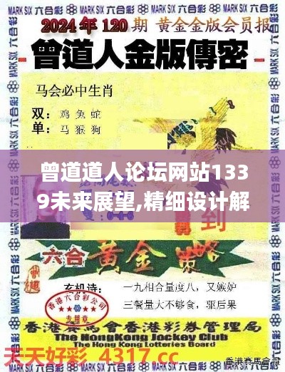 曾道道人论坛网站1339未来展望,精细设计解析策略_顶级款4.563