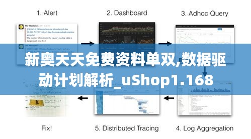 新奥天天免费资料单双,数据驱动计划解析_uShop1.168