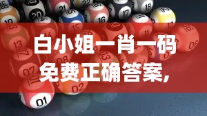 白小姐一肖一码免费正确答案,统计解答解析说明_创新版4.895