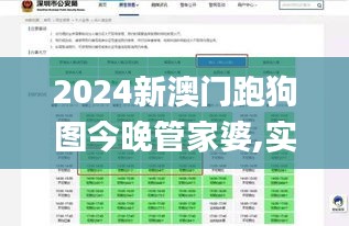 2024新澳门跑狗图今晚管家婆,实地策略验证计划_Pixel14.490