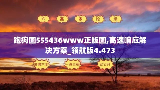 跑狗图555436www正版图,高速响应解决方案_领航版4.473