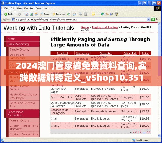 2024澳门管家婆免费资料查询,实践数据解释定义_vShop10.351