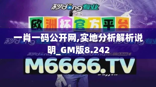 一肖一码公开网,实地分析解析说明_GM版8.242