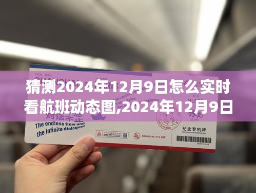 探索与展望，如何实时查看2024年12月9日航班动态图