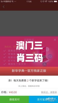 澳门三肖三码精准100%新华字典345期,数据解答落实_4DM9.656