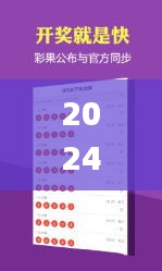 2024澳门天天开好彩正版资料大全345期,统计分析解释定义_app10.662