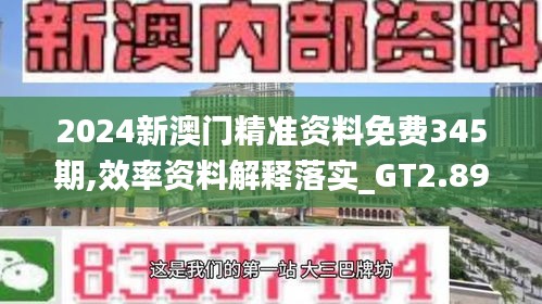 2024新澳门精准资料免费345期,效率资料解释落实_GT2.896