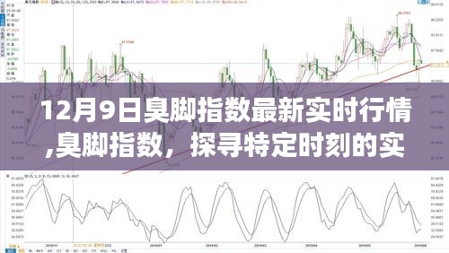 臭脚指数最新实时行情揭秘，探寻背后的深意与特定时刻动态