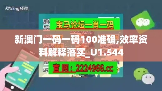 新澳门一码一码100准确,效率资料解释落实_U1.544