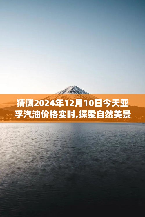 亚孚汽油价格实时探索，今日预测与自然美景之旅的乐观猜想