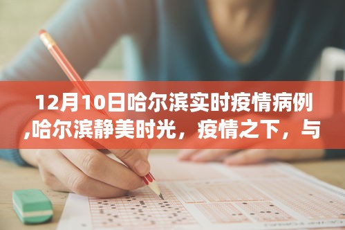 哈尔滨疫情实时更新，与自然共舞的美丽旅程中的抗疫之路