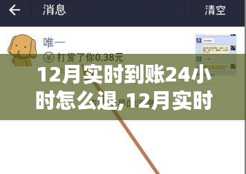 12月实时到账后的退款指南，操作退款流程与注意事项