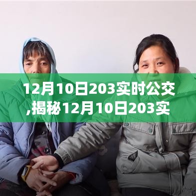 揭秘，智能出行新时代下的实时公交体验——以12月10日为例