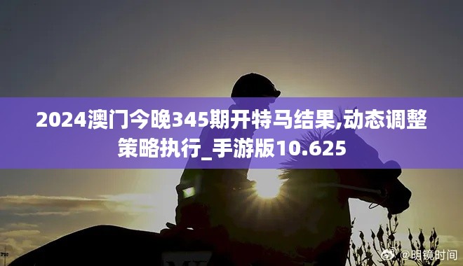 2024澳门今晚345期开特马结果,动态调整策略执行_手游版10.625