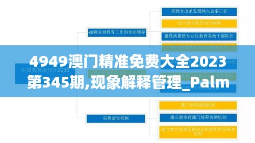 4949澳门精准免费大全2023第345期,现象解释管理_PalmOS17.791