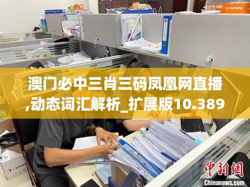 澳门必中三肖三码凤凰网直播,动态词汇解析_扩展版10.389