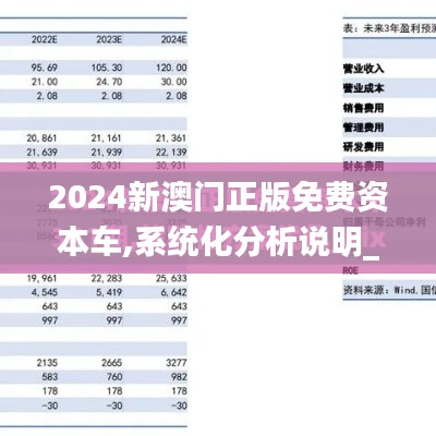 2024新澳门正版免费资本车,系统化分析说明_yShop3.596