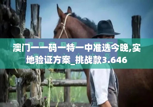 澳门一一码一特一中准选今晚,实地验证方案_挑战款3.646